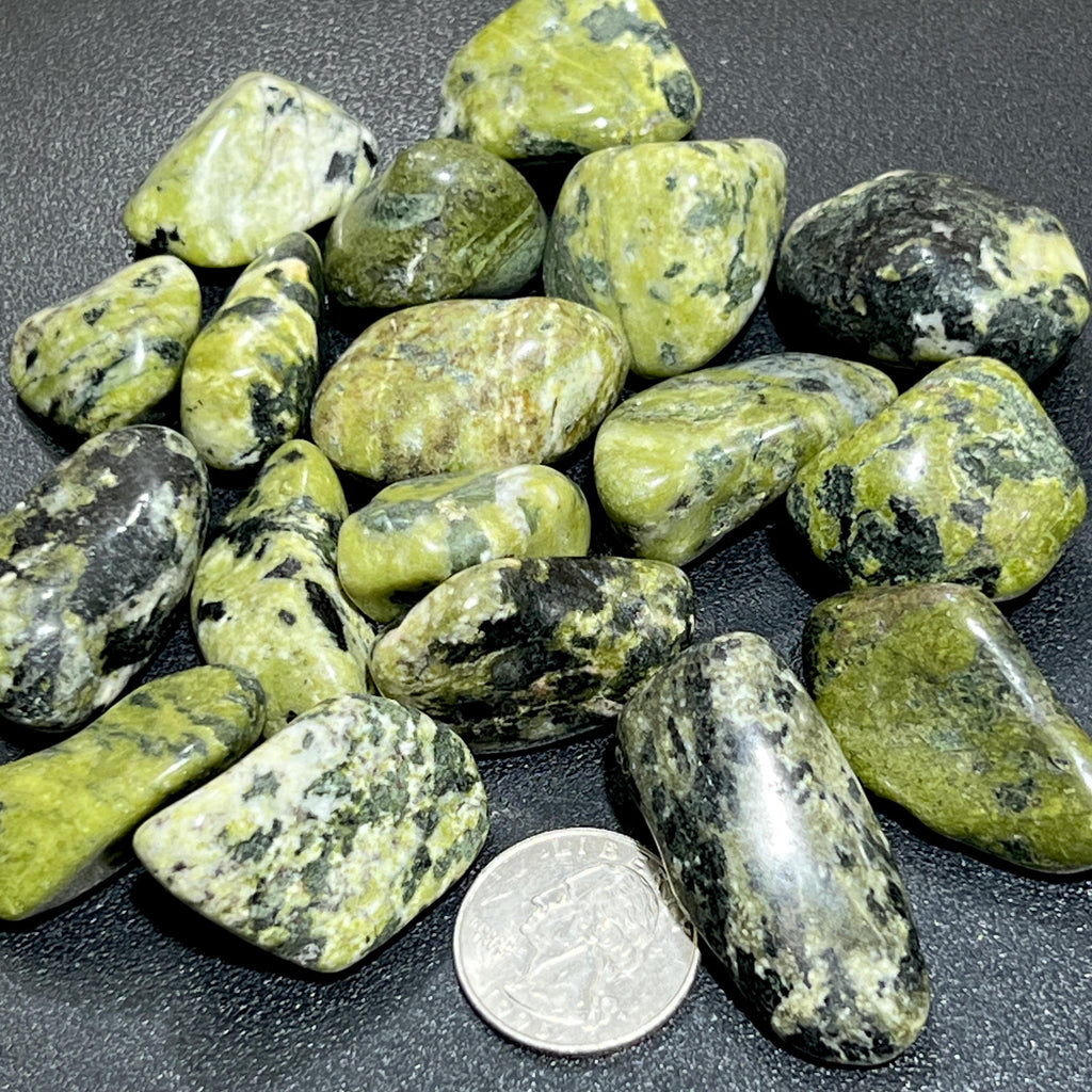 Assorted green nephrite jade tumbled stones with contrasting dark and cream markings beside a quarter for size comparison.
