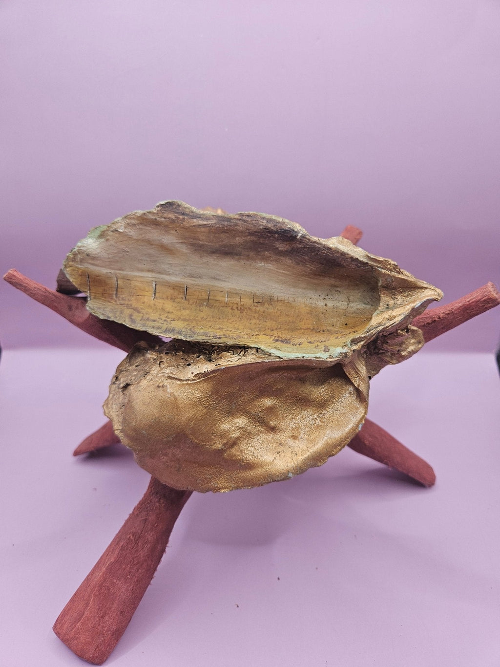 Hand-Painted Oyster Shells on Wooden Stands – Original Art by Charles Branch