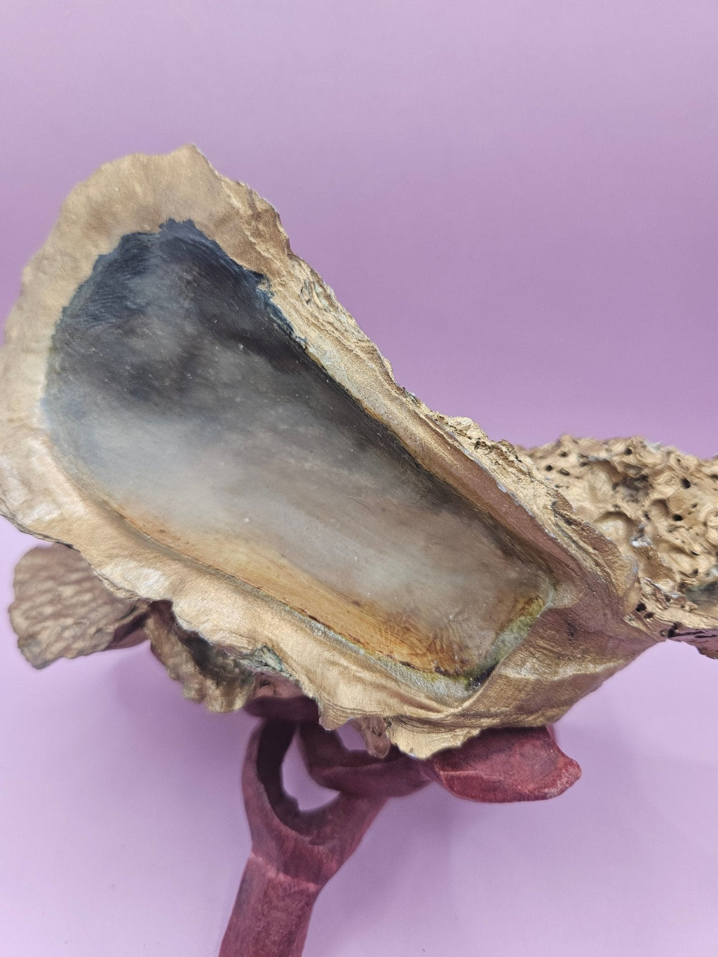 Hand-Painted Oyster Shells on Wooden Stands – Original Art by Charles Branch