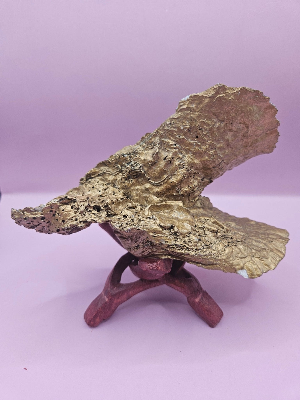 Hand-Painted Oyster Shells on Wooden Stands – Original Art by Charles Branch