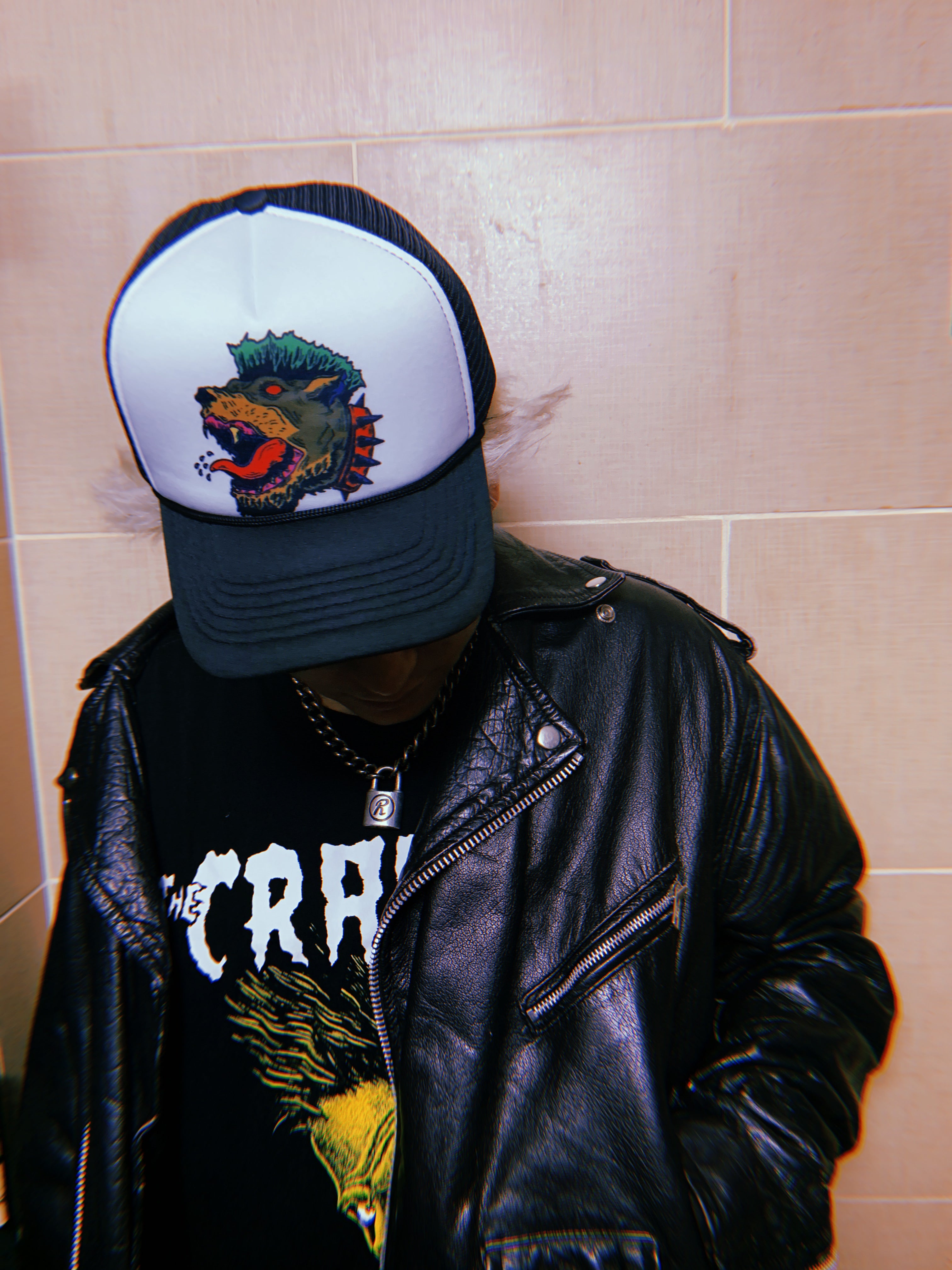 Never Home Stray Dogs Trucker Hat