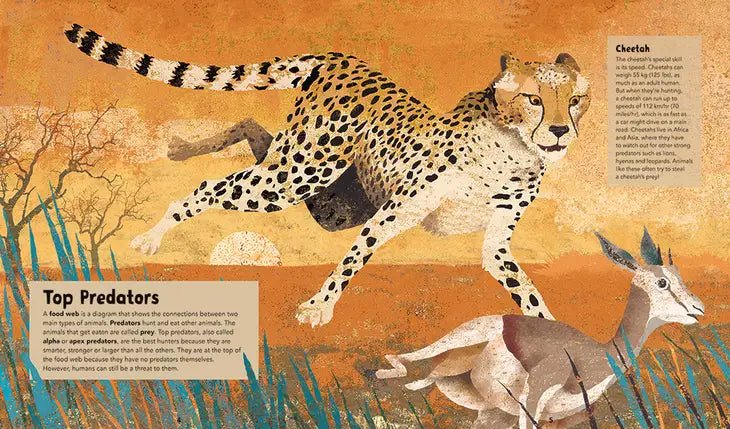 Incredible Animals