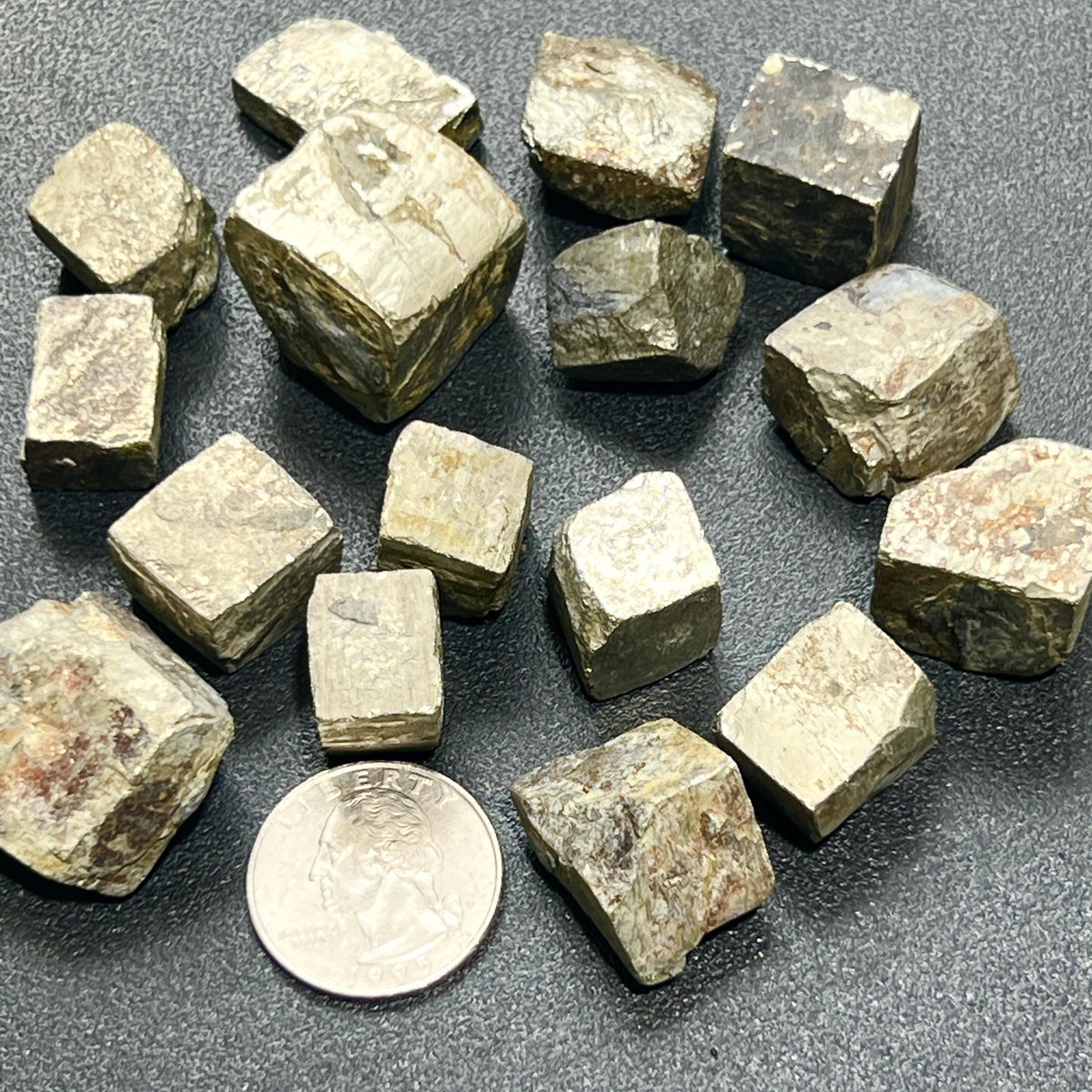 Small metallic iron pyrite crystal cubes arranged on a dark surface beside a quarter for scale