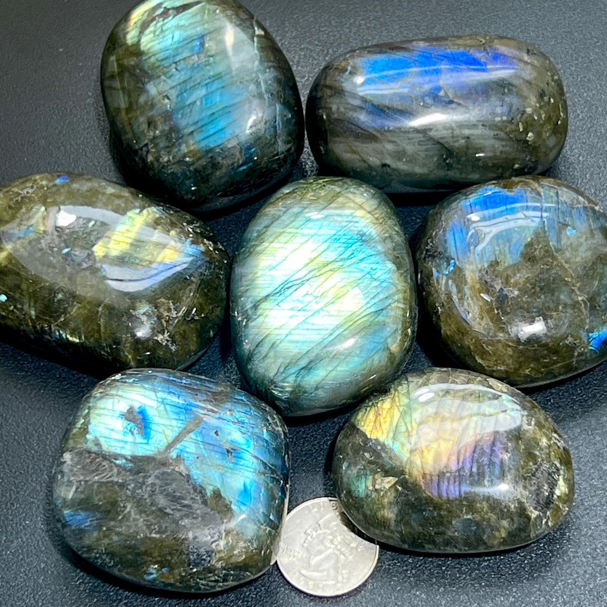 Seven rounded labradorite palm stones with colorful iridescent flashes and a quarter for scale
