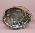Large Red Abalone Shell