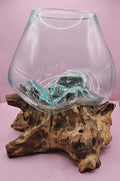 Teak Root & Molten Glass Terrarium