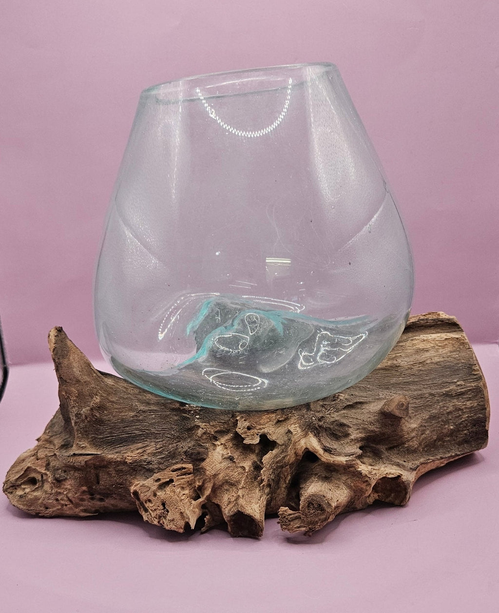Teak Root & Molten Glass Terrarium