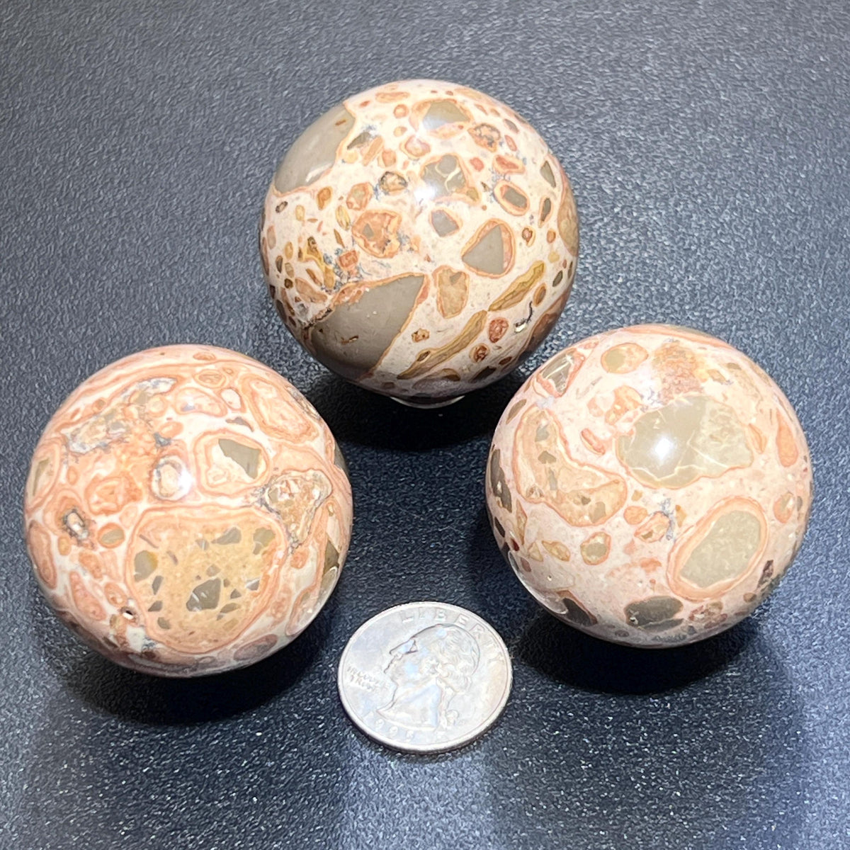Three leopard skin jasper spheres with earthy spotted patterns beside a quarter for size comparison.