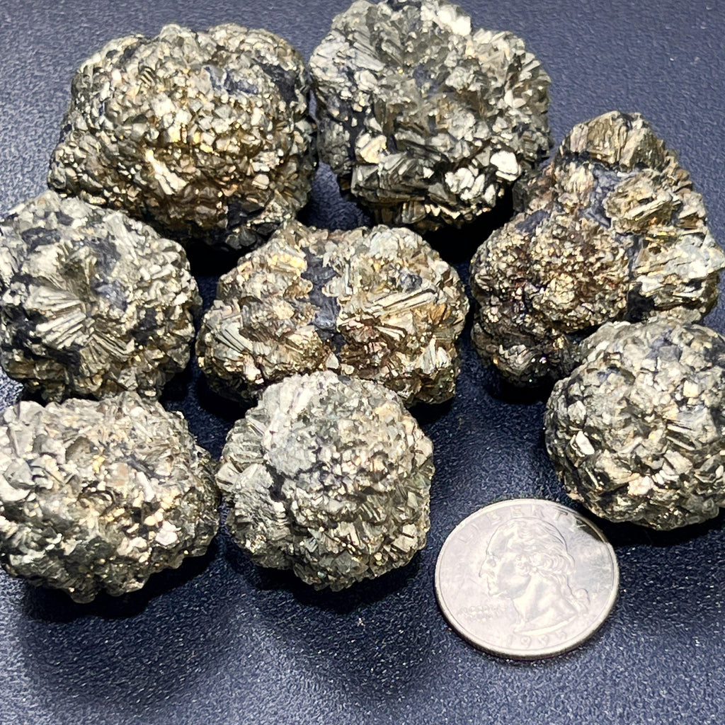 Eight rough marcasite pyrite nodules with metallic crystal faces on a dark surface beside a quarter for scale