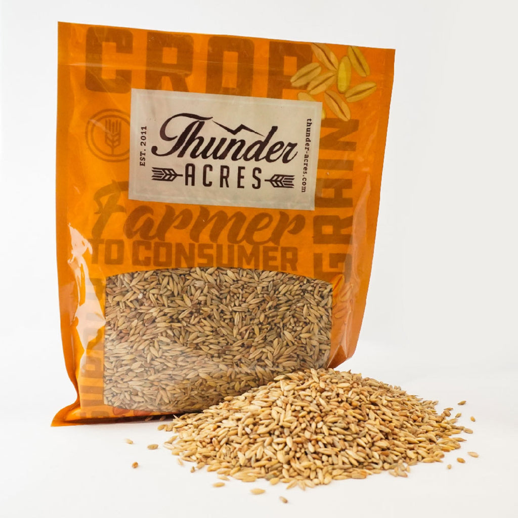 Certified Organic Cat Grass Seed Blend