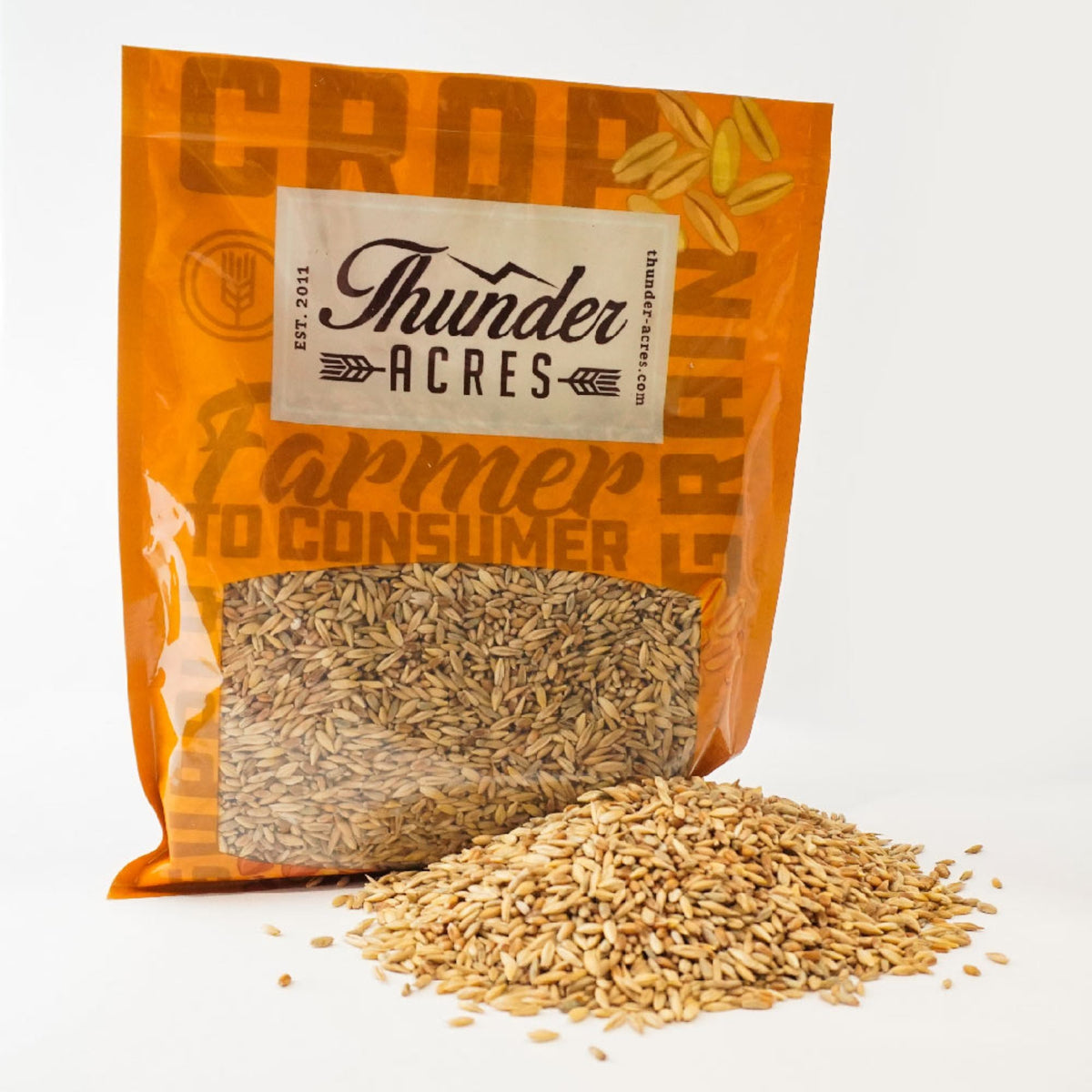 Certified Organic Cat Grass Seed Blend