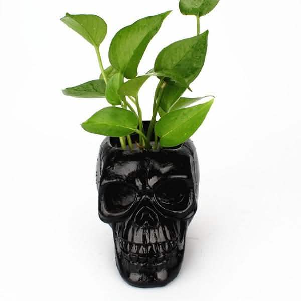 Skull Storage & Stationery Holder | Resin Desk Organizer, Planter & Candle Holder