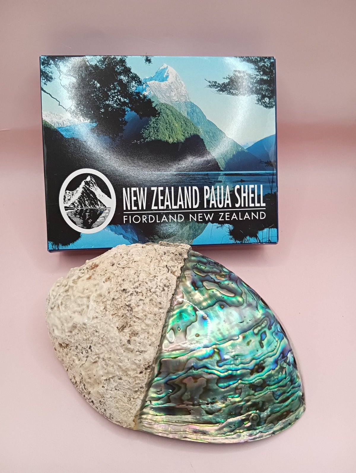 Natural New Zealand Paua Shell (Haliotis iris)