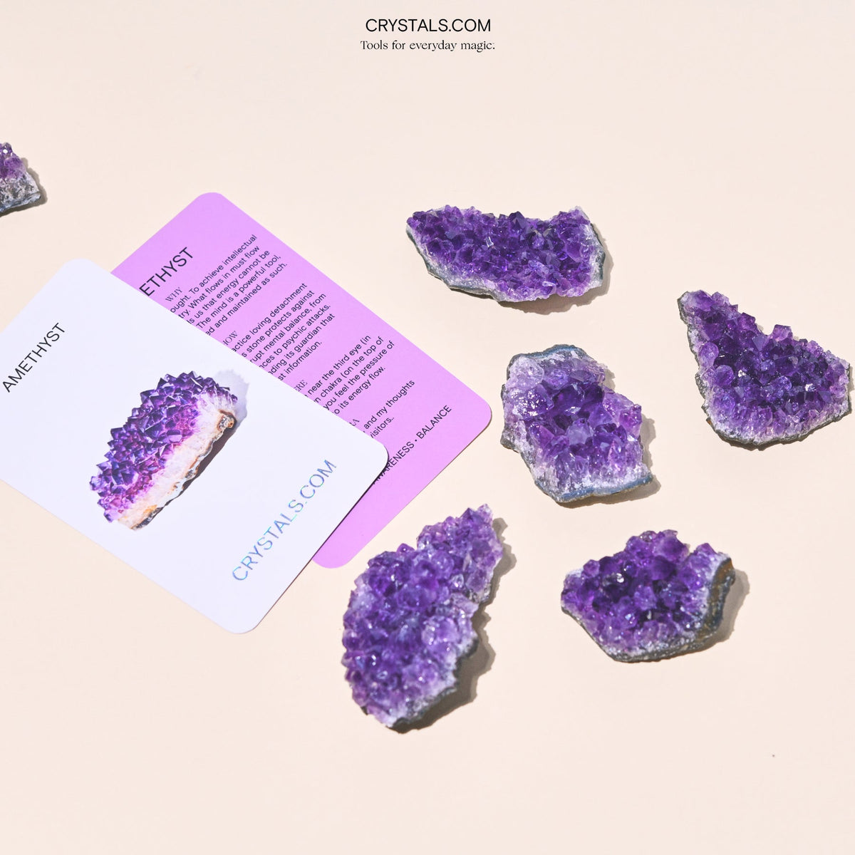 Five purple amethyst clusters arranged beside amethyst collector cards on a pale pink surface.
