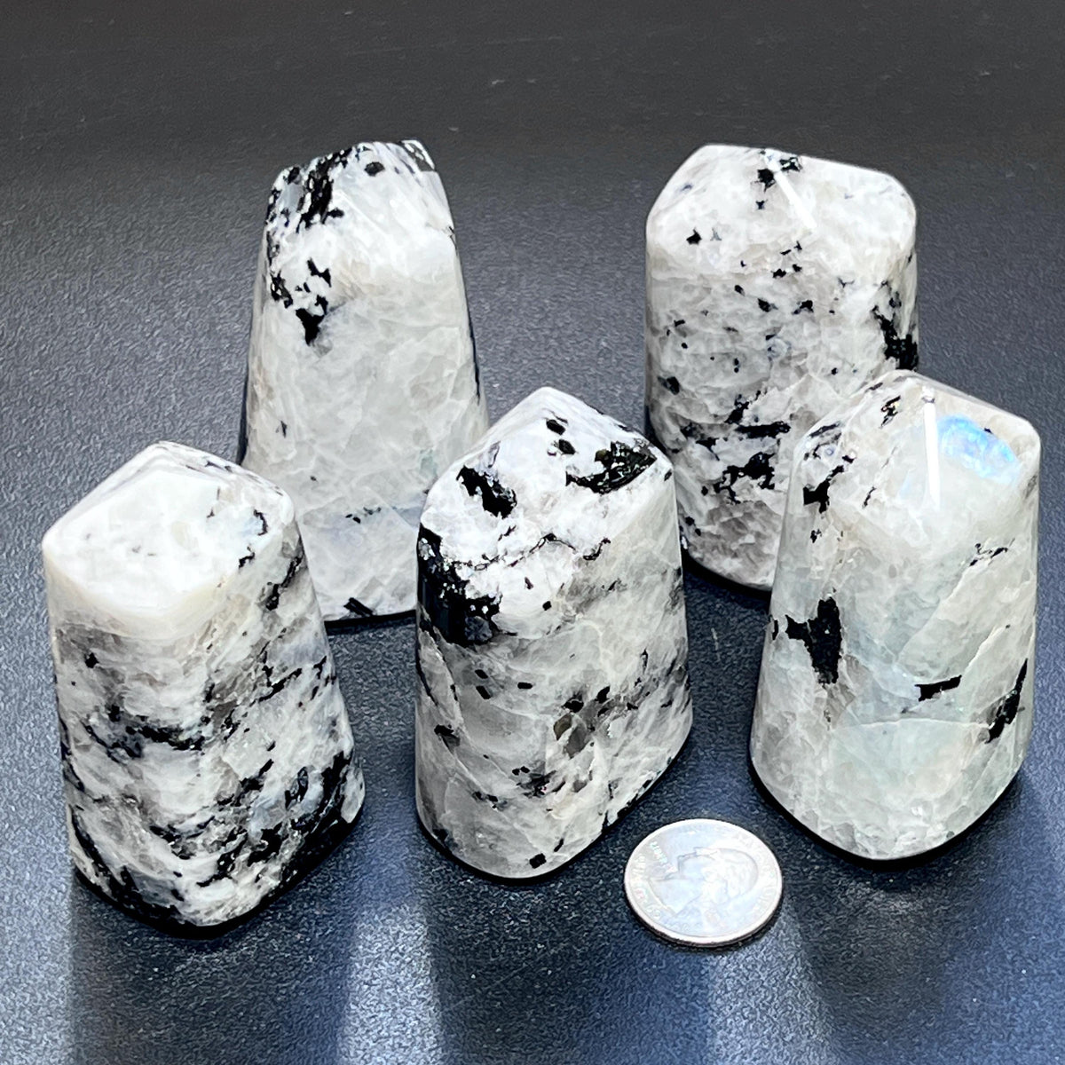 Five polished rainbow moonstone towers with black markings and a blue flash beside a coin for size comparison.

