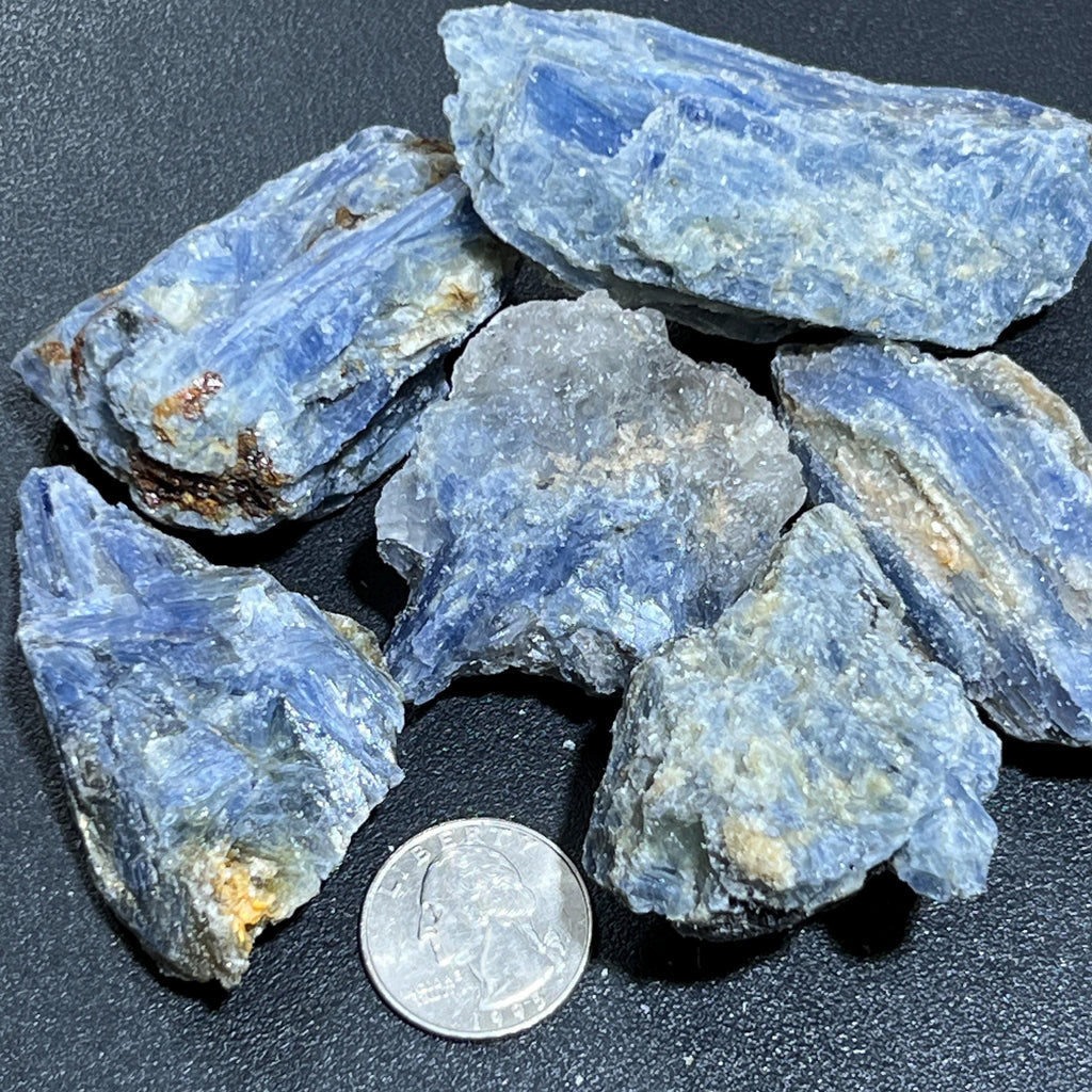 Six raw blue kyanite pieces showing ridged crystal textures, with a quarter on the dark surface for scale