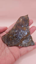Rhyolite Slab