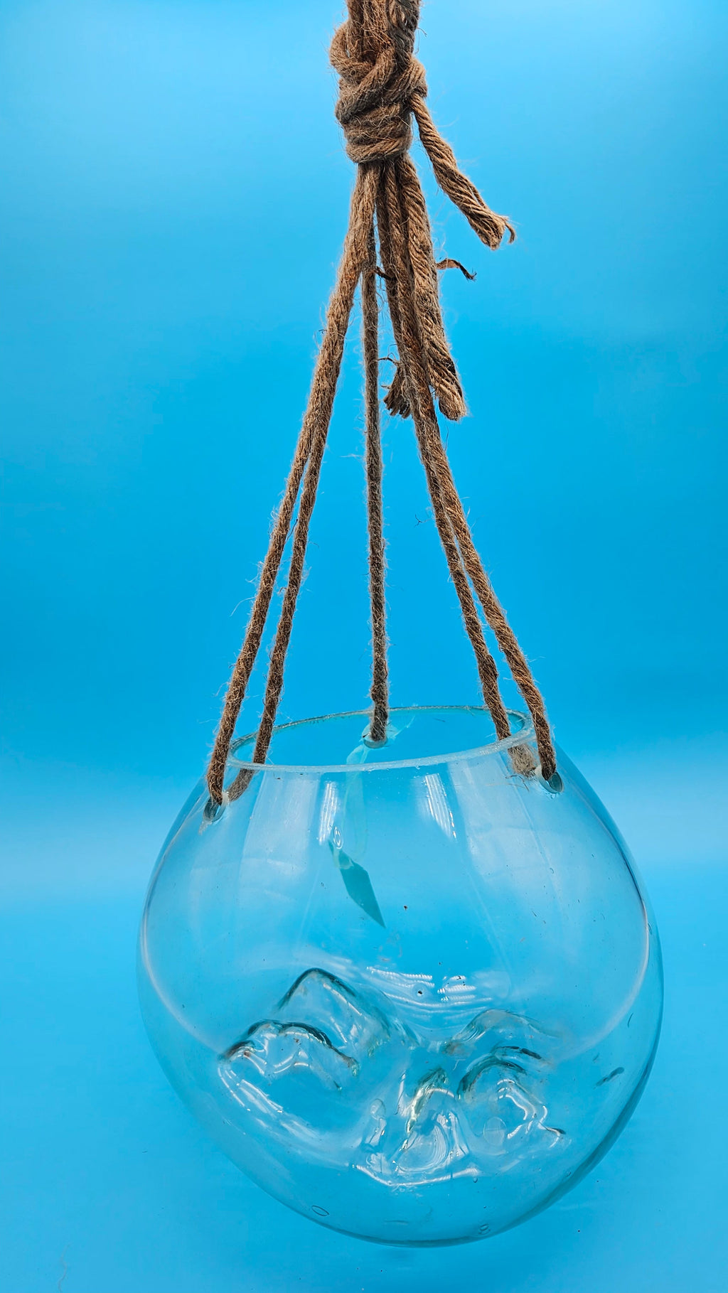 Hanging Molten Glass Terrarium with Rope