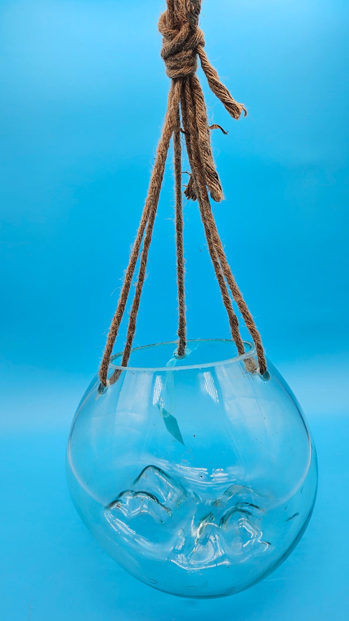 Hanging Molten Glass Terrarium with Rope