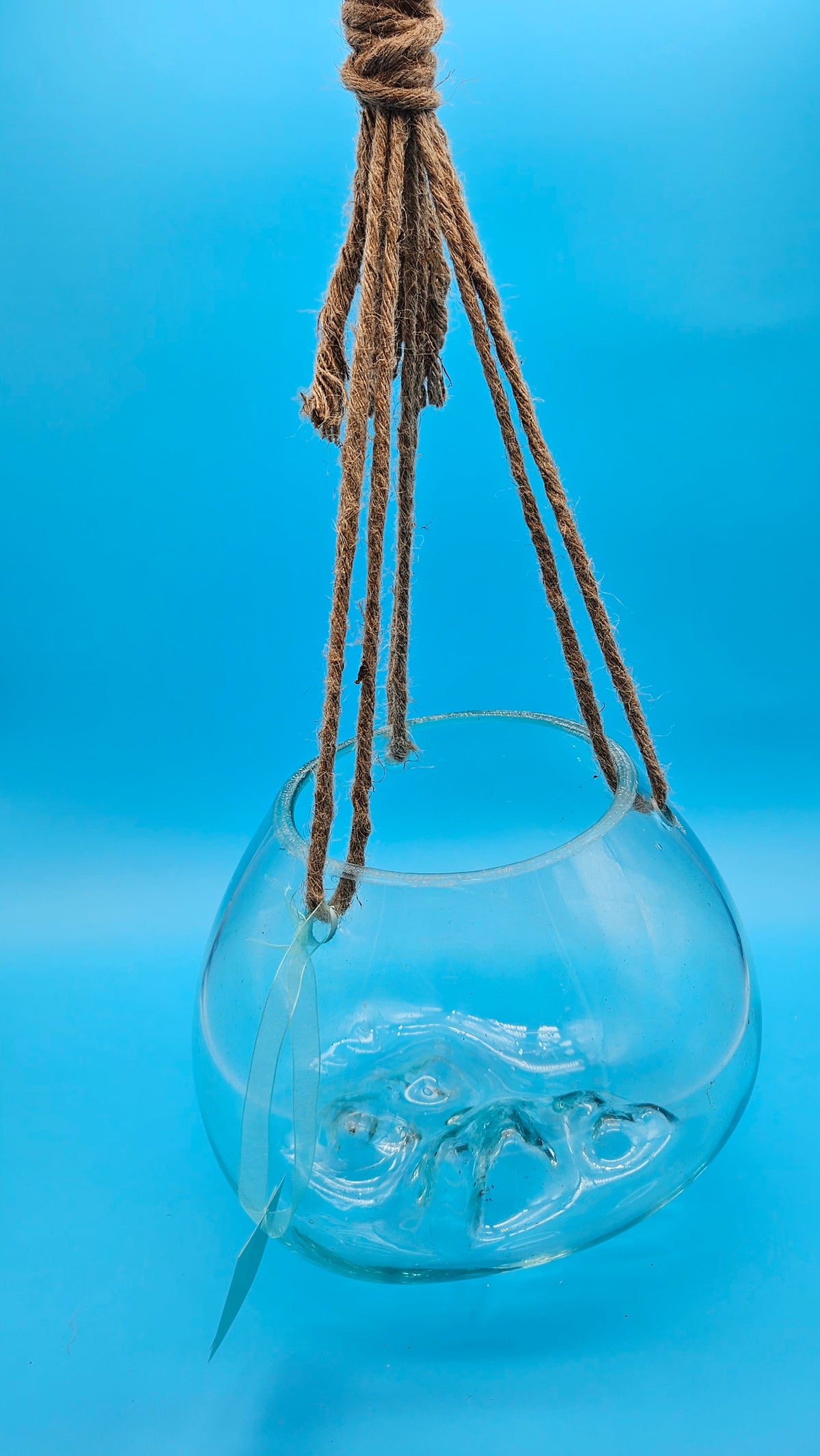 Hanging Molten Glass Terrarium with Rope