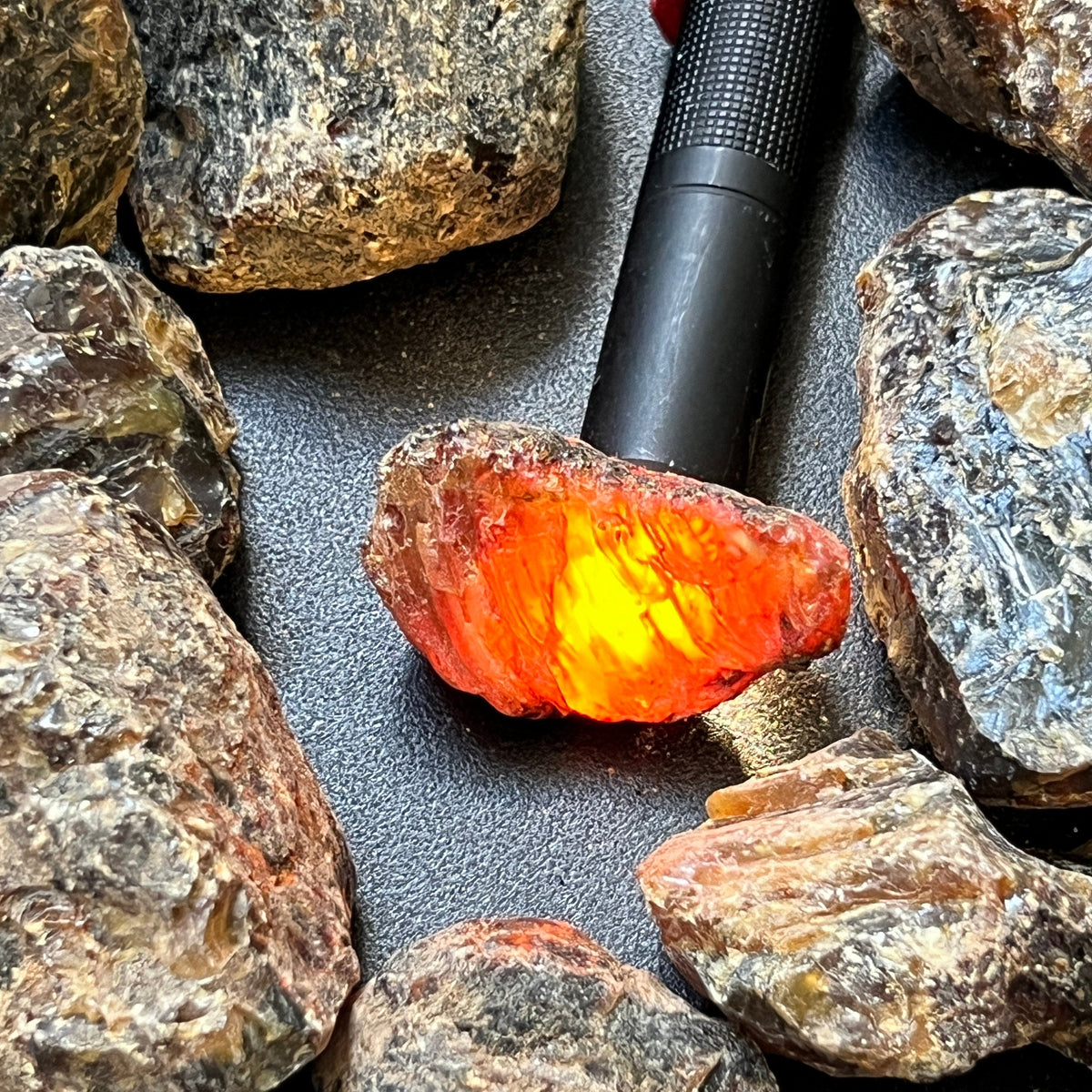Flashlight behind a rough black amber piece illuminating its orange interior among dark resin chunks