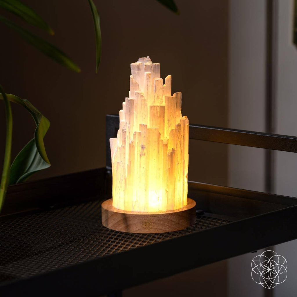 Warmly glowing selenite tower lamp with a walnut base on a black mesh shelf beside green leaves.
