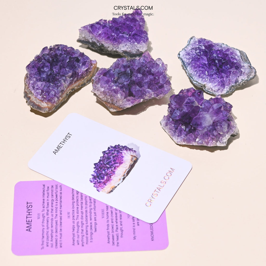 Five sparkling amethyst clusters with varied point sizes displayed above collector cards.
