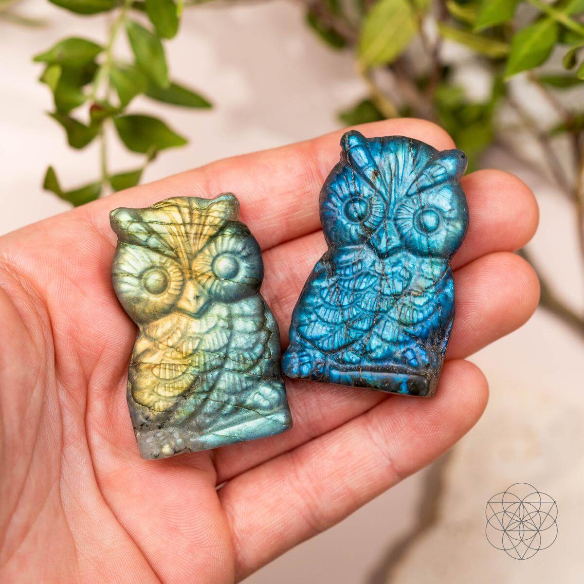 Two labradorite owl carvings resting in an open palm, one with blue flash and one with gold and green flash.
