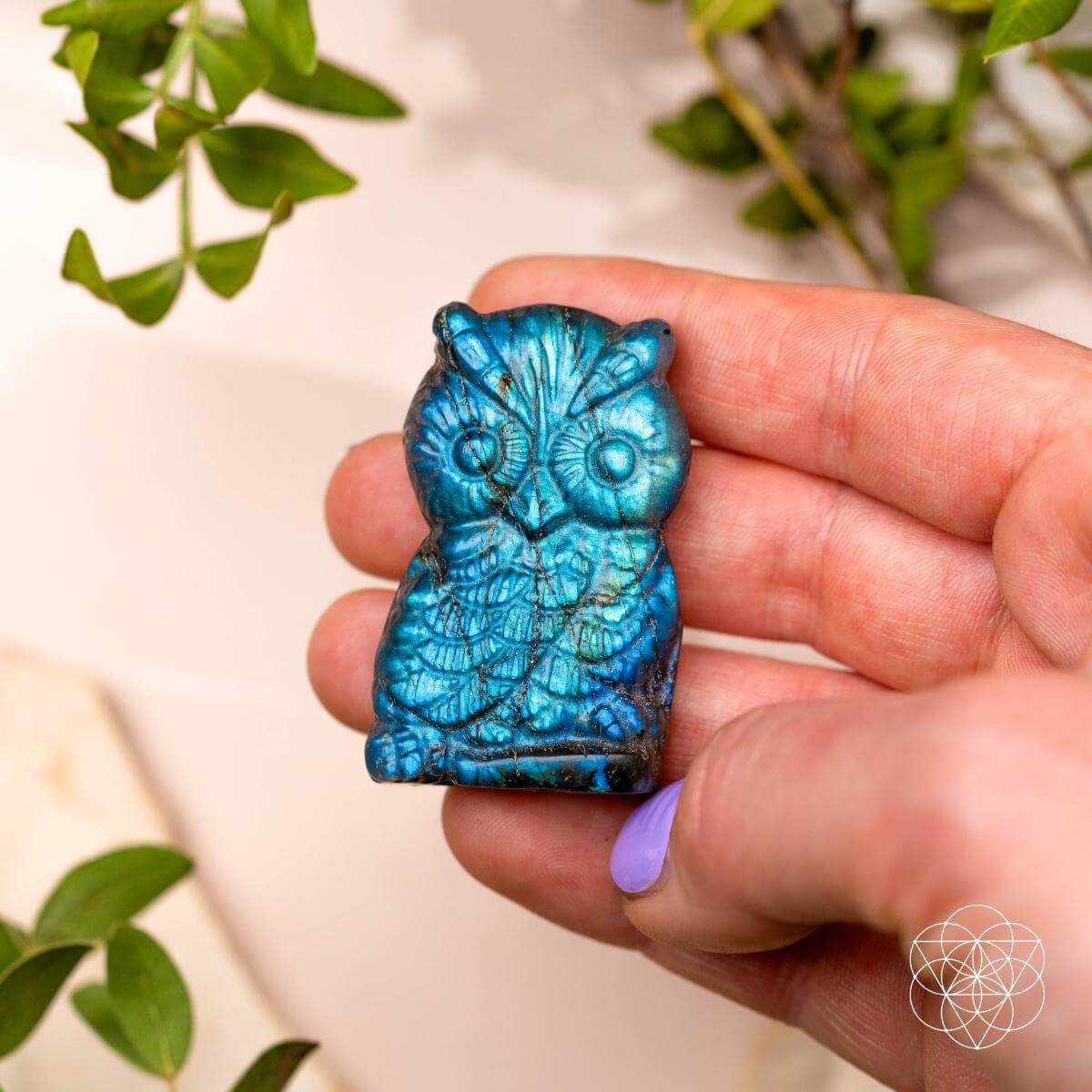 Hand holding a blue-flashing labradorite owl carving with round eyes and layered feather details.
