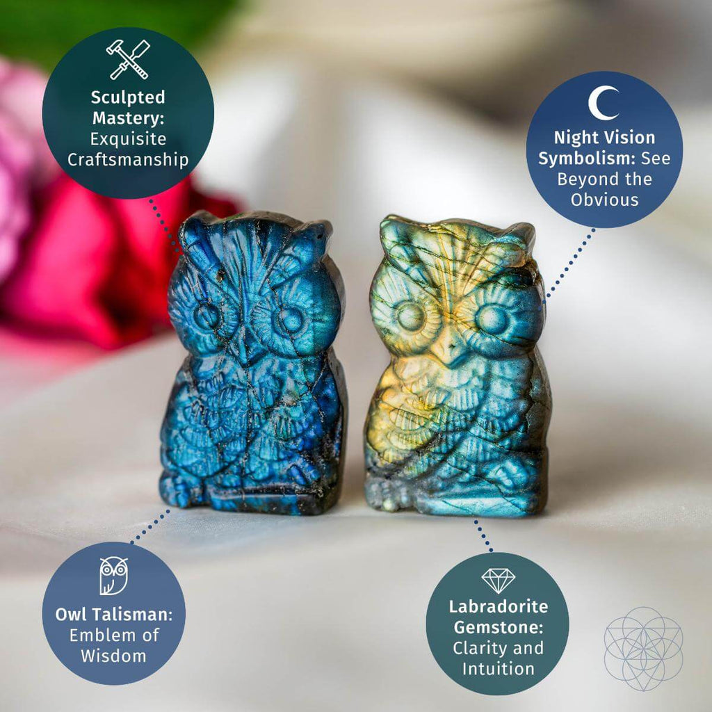 Two labradorite owl carvings with infographic callouts about craftsmanship, owl symbolism, and labradorite associations.
