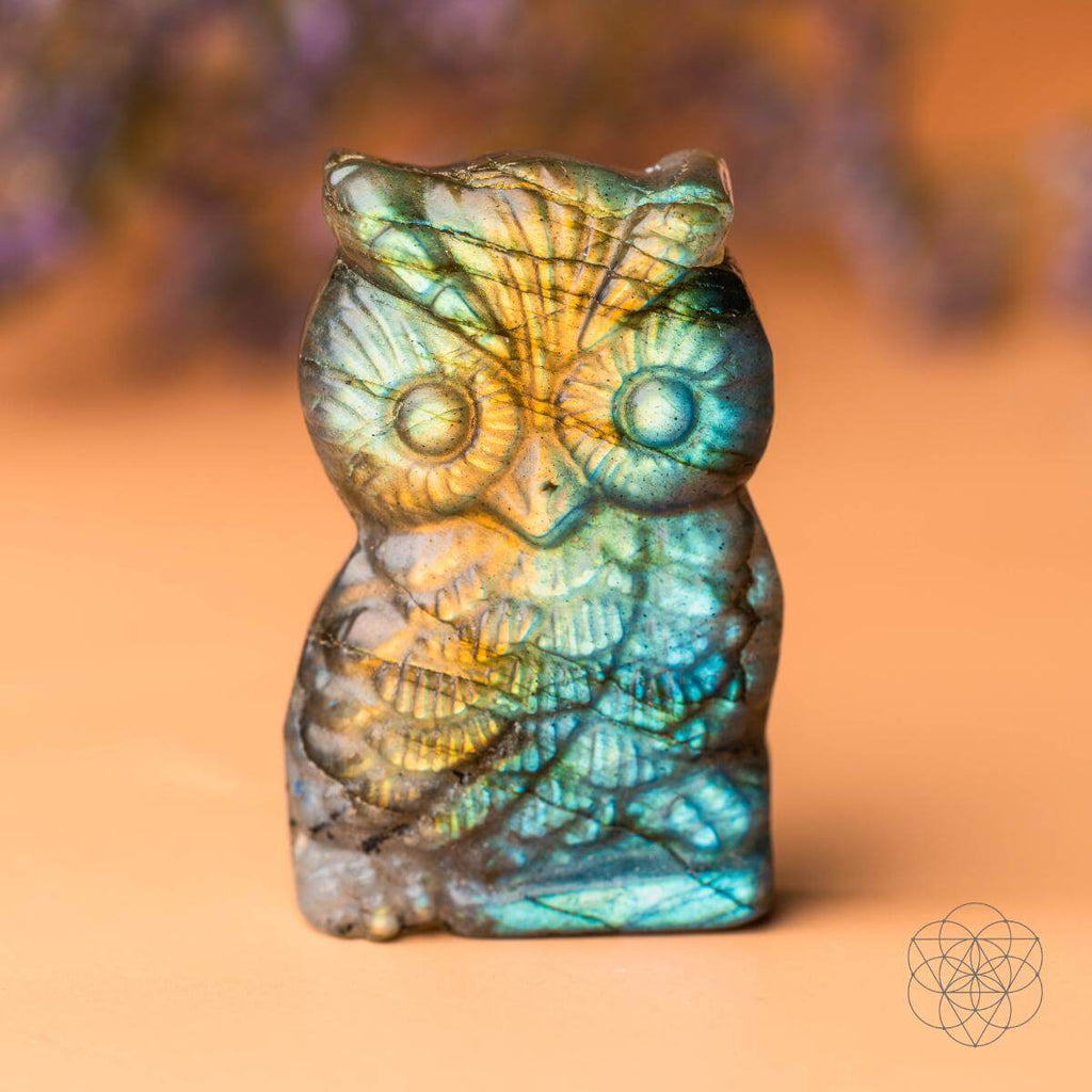 Close-up of a labradorite owl carving showing gold, green, and blue flashes against a warm background.
