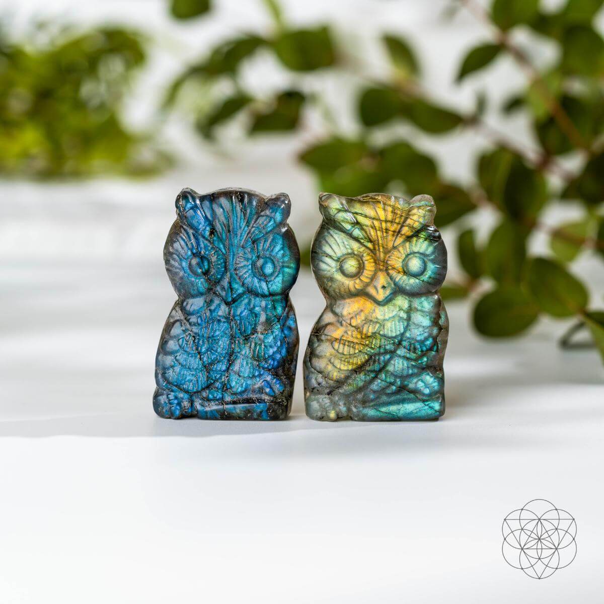 Two carved labradorite owls standing side by side on a white surface with green leaves in the background.
