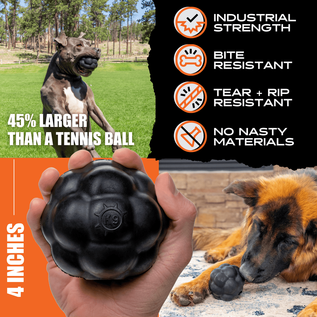 Dog Rumble Ball