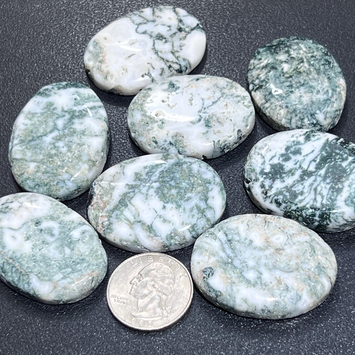 Green-and-white tree agate cabochons beside a quarter for size comparison.
