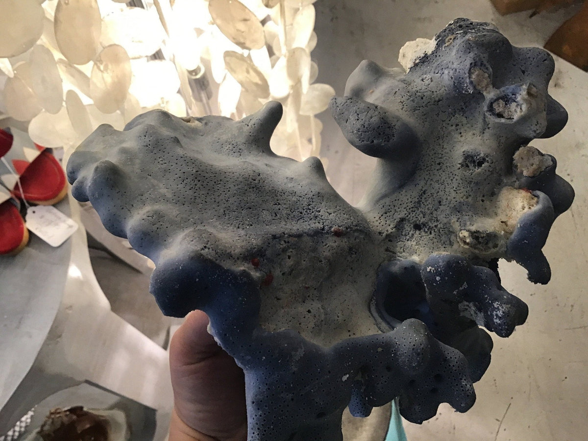 Vintage Blue Ridge Coral