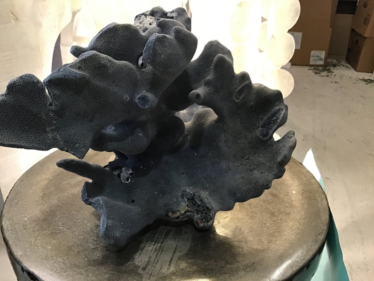 Vintage Blue Ridge Coral