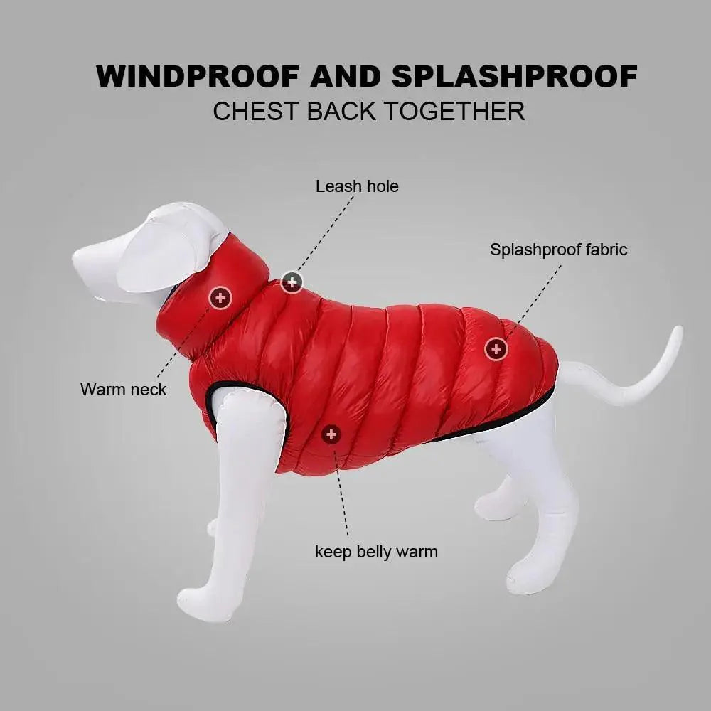 Reversible Winter Dog Jacket