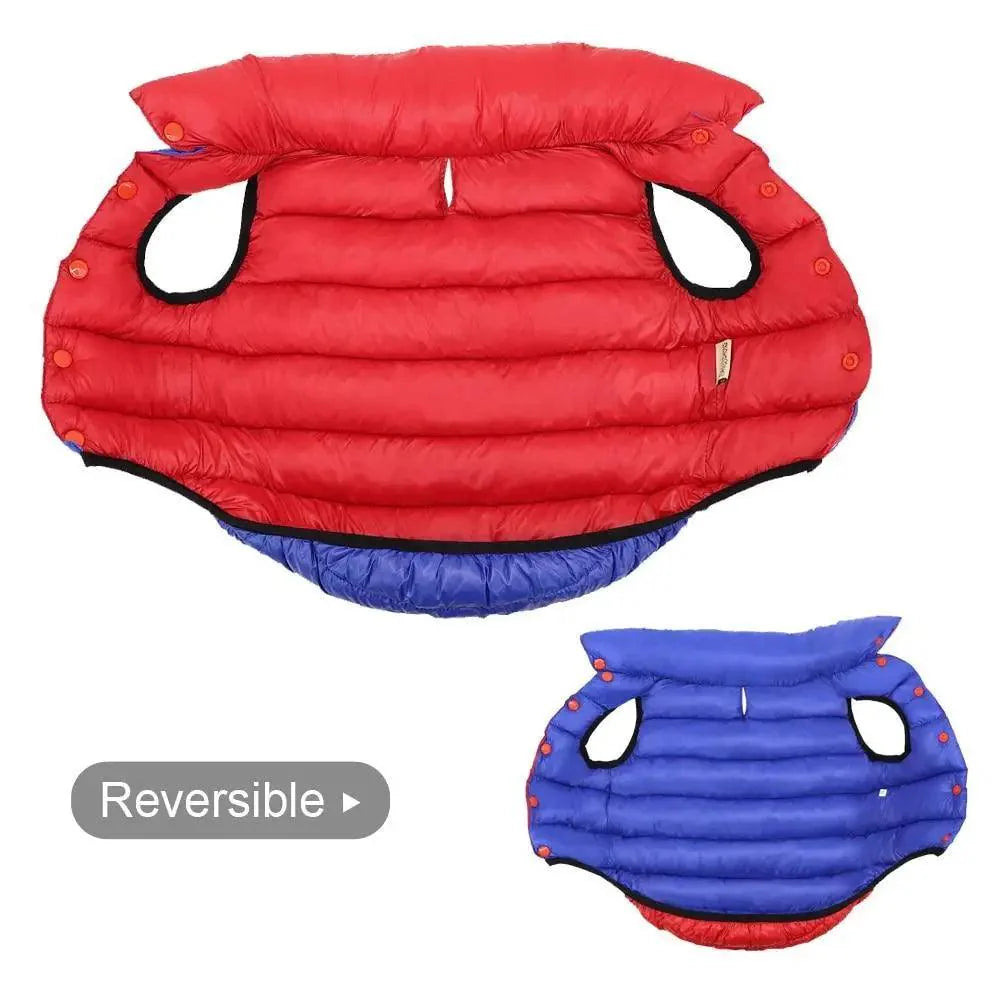 Reversible Winter Dog Jacket