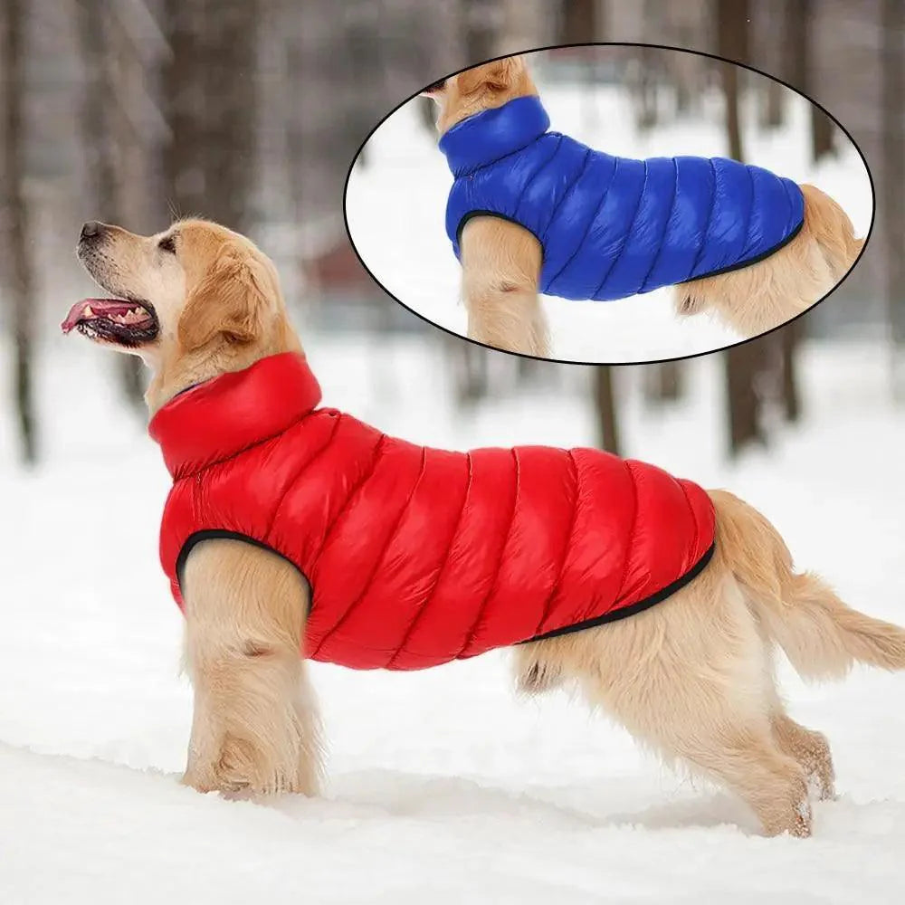 Reversible Winter Dog Jacket