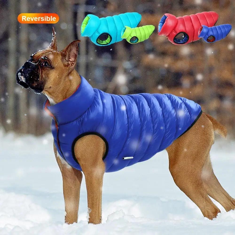 Reversible Winter Dog Jacket